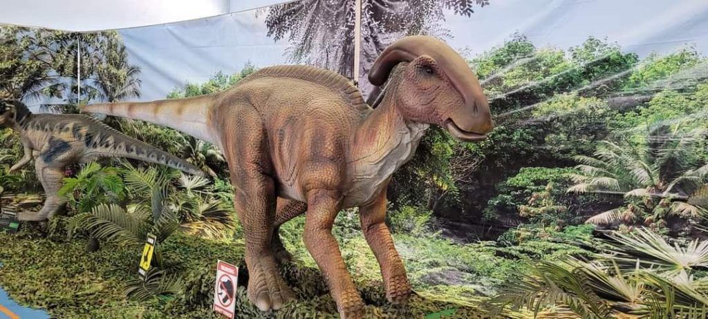 210622 Los dinosaurios eligieron el pasado fin de semana las Torres de Cotillas para volver a pisar la Tierra 03 210622 Los dinosaurios eligieron el pasado fin de semana las Torres de Cotillas para volver a pisar la Tierra 03