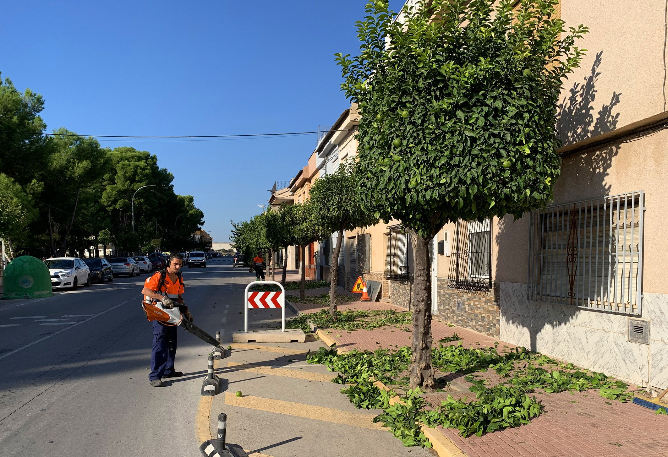 Llegan las tradicionales podas otoñales a los árboles de Las Torres de Cotillas3