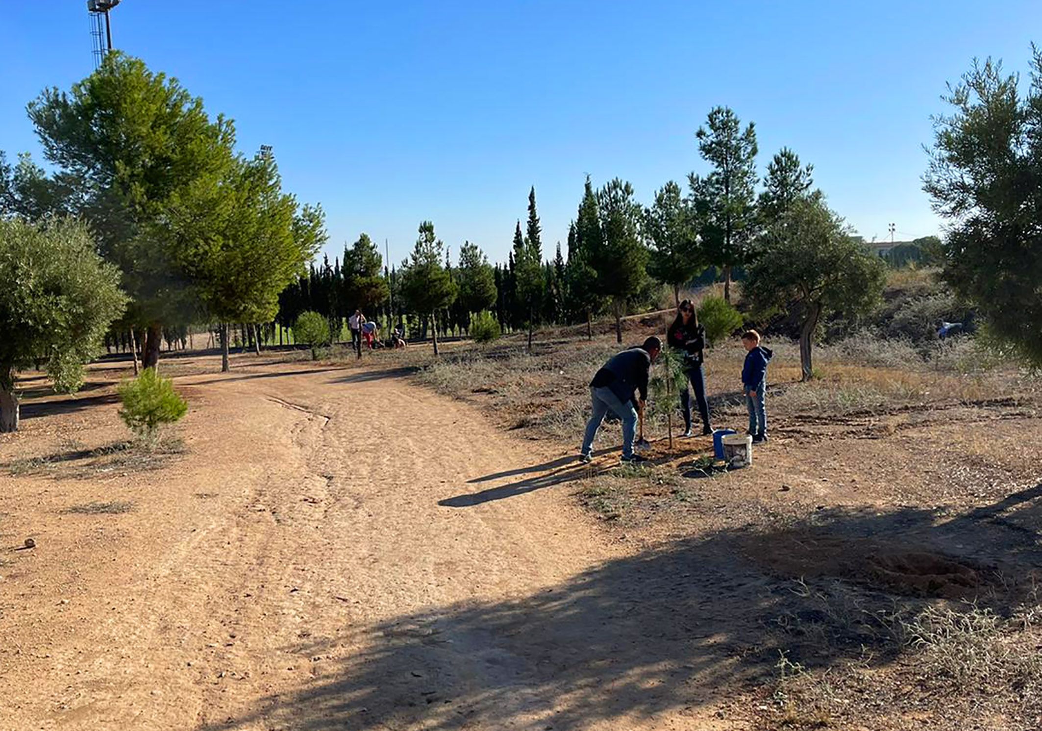 Una jornada familiar de plantación de árboles para celebrar el “Día de las Bibliotecas”3
