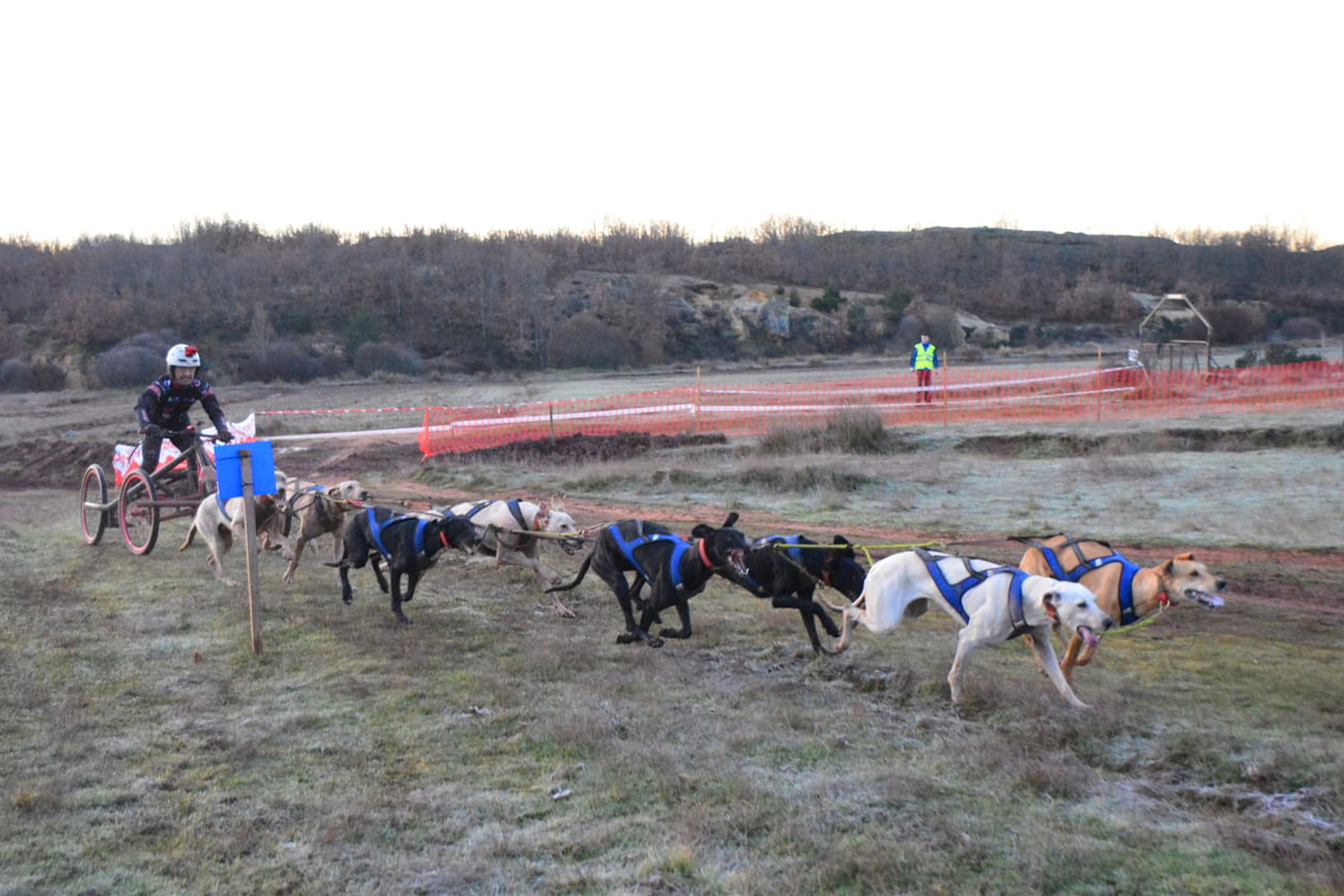 El torreño Tomás Ruiz se cuelga un nuevo oro en el nacional de mushing