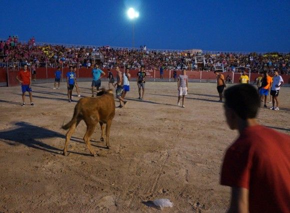 Suelta de vaquilla - Fiestas de Las Torres