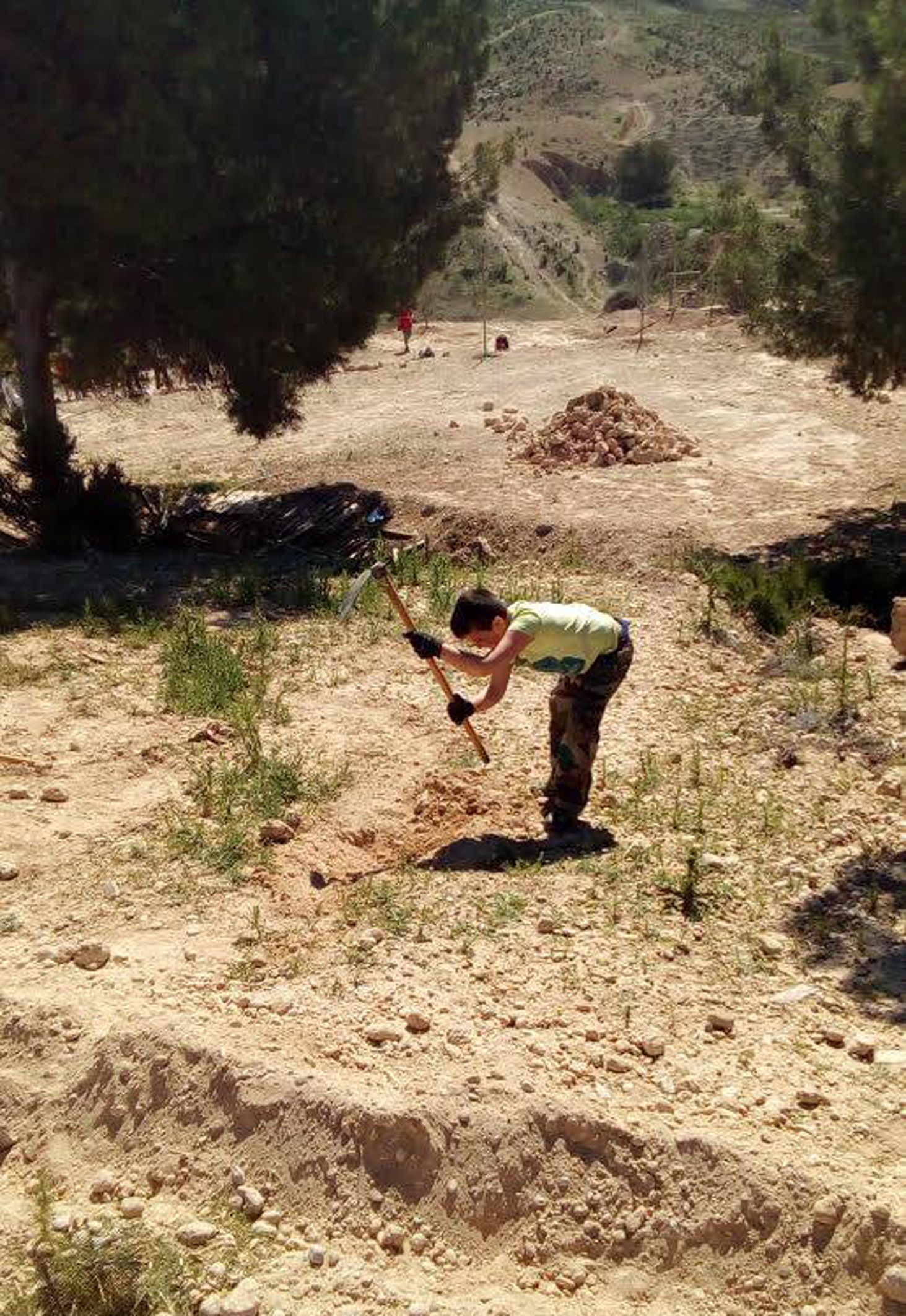 Jornada voluntariado Rambla Salada- Las Torres de Cotillas3